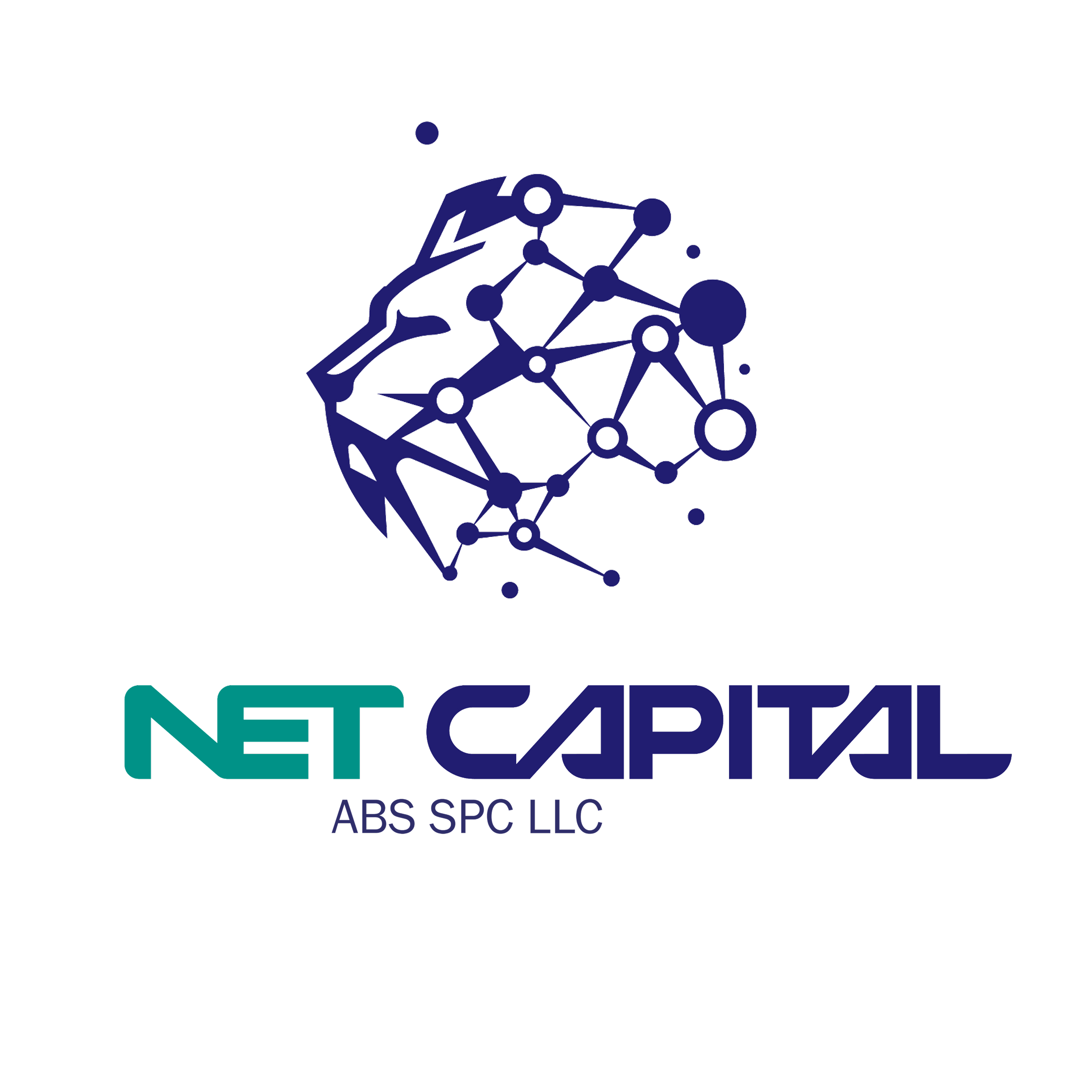 Netcapital ABS primary market offering launched